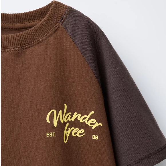 Zara Brown Tee with Dark Brown Raglan Sleeves and Yellow 'Wander free' Print - Picture 3 of 3